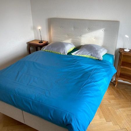 Joli 2 Pieces Dernier Etage, Lausanne Centre Buitenkant foto